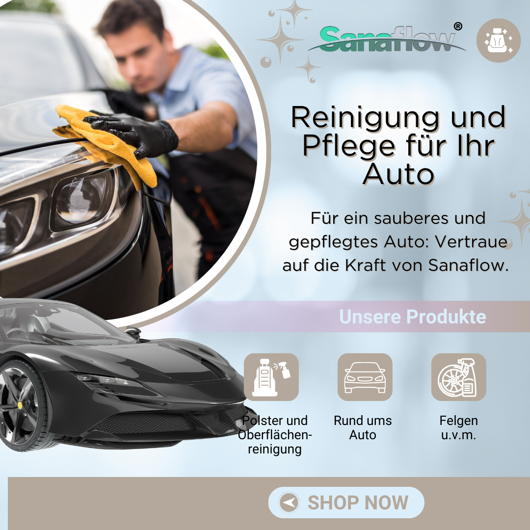 Reinigung und Pflege für das Auto